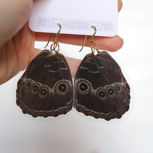 Blue Morpho earrings