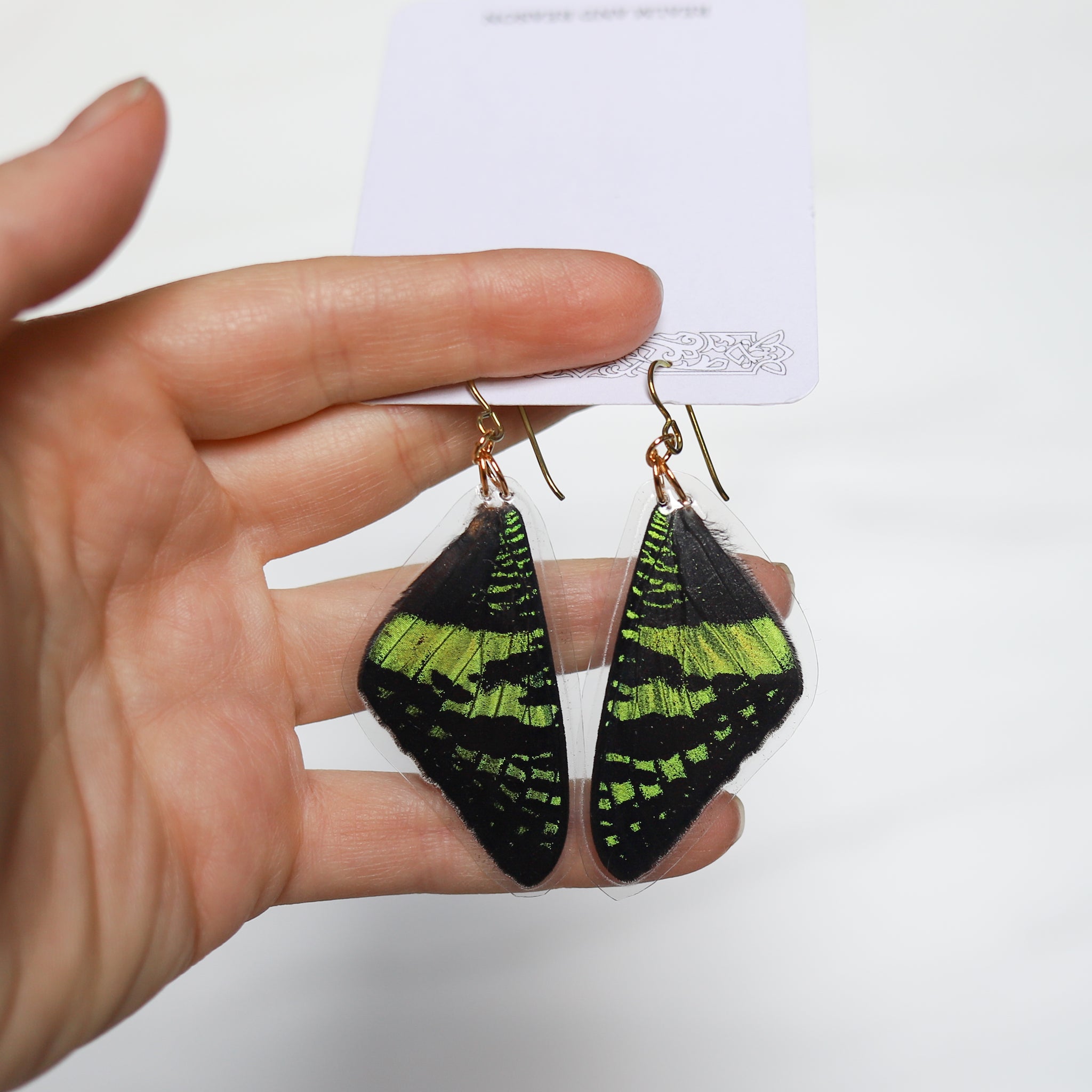 Sunset Moth Earrings