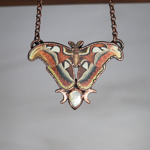 Atlas Moth Necklace - Pearl