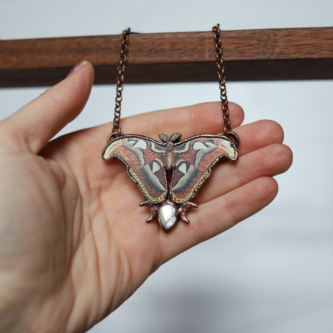 Atlas Moth Necklace - Pearl