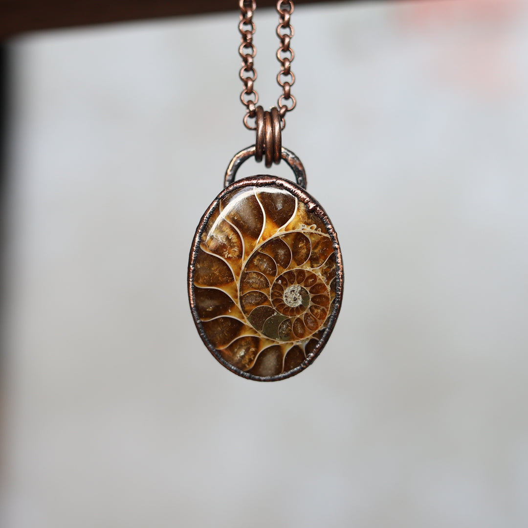 Polished Ammonite Necklace (b)