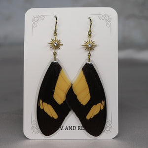 Real Butterfly wing Charm Earrings