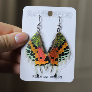 Sunset Moth Earrings (silver)