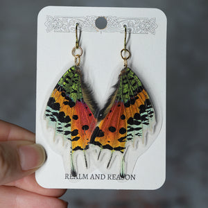 Sunset Moth Wing Earrings