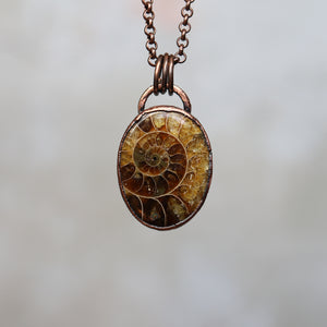 Polished Ammonite Necklace (a)