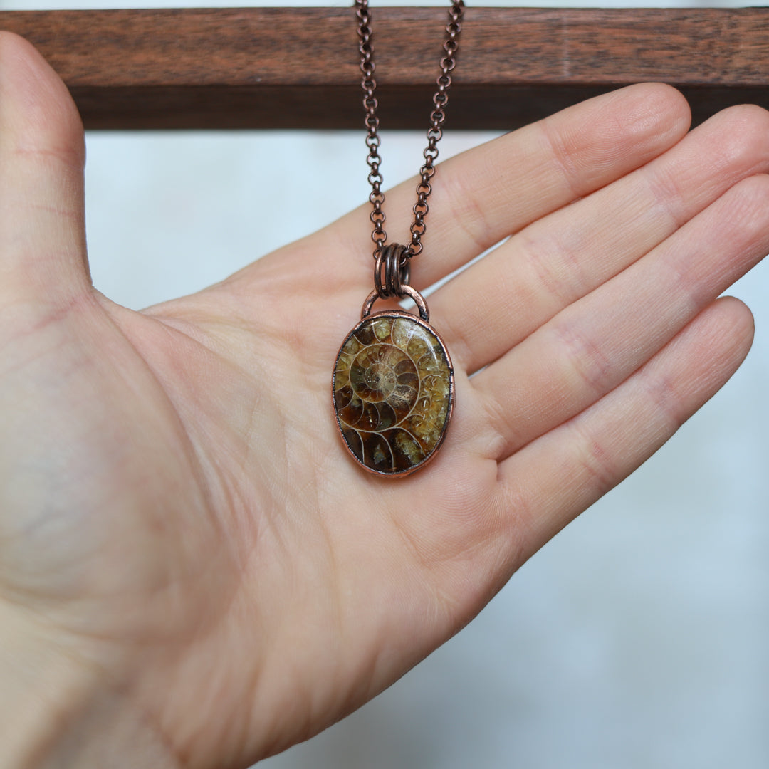 Polished Ammonite Necklace (a)