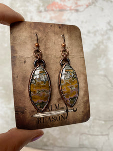 Ocean Jasper Earrings - b