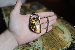 Amber Necklace - a