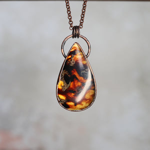 Amber Necklace (a)