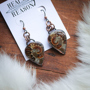 Ammonite Fossil Earrings