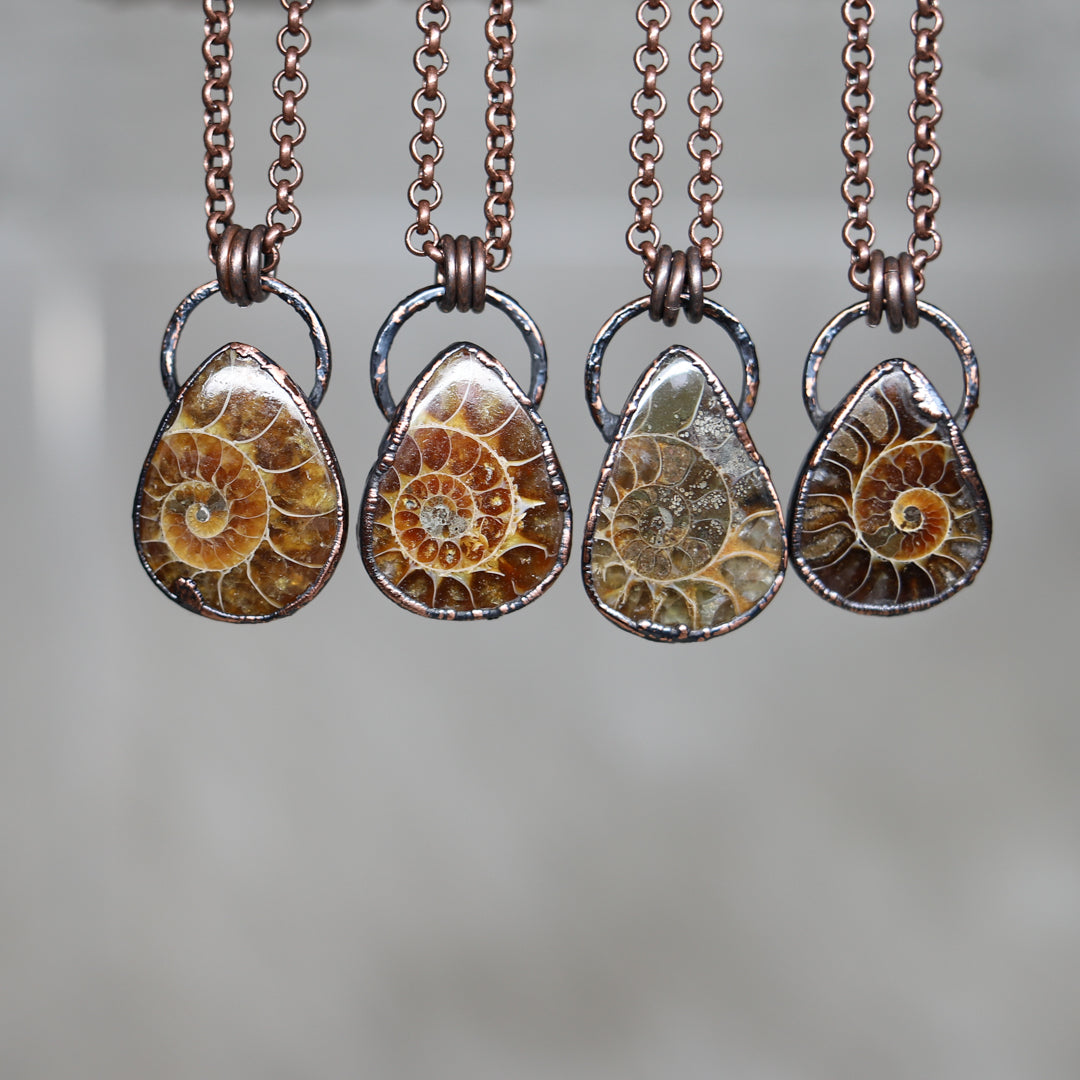 Ammonite Necklace  (you choose)