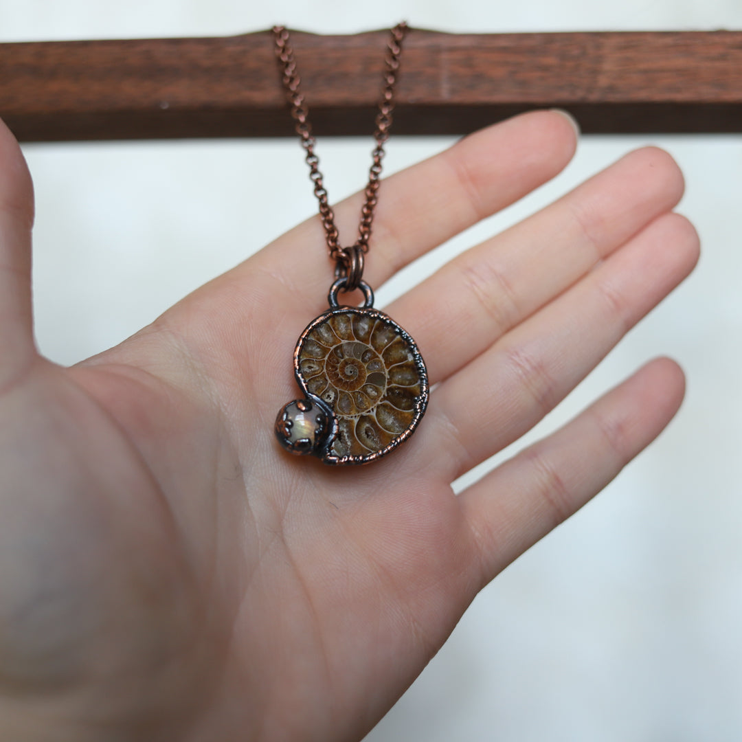 Ammonite Necklace (a)