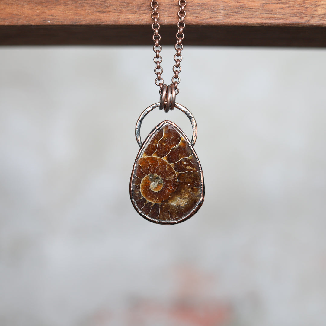 Ammonite Fossil Necklace