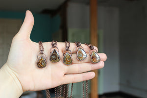 Mini Ammonite Necklace