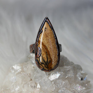 Picture Jasper Ring size 9