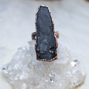 Trilobite Fossil Ring size 9