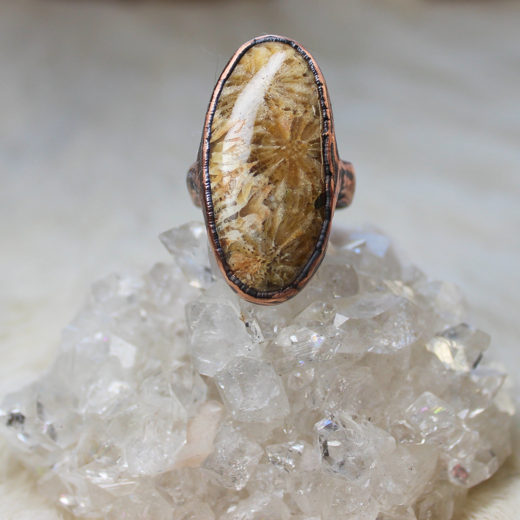 Fossilized Coral Ring size 7.75